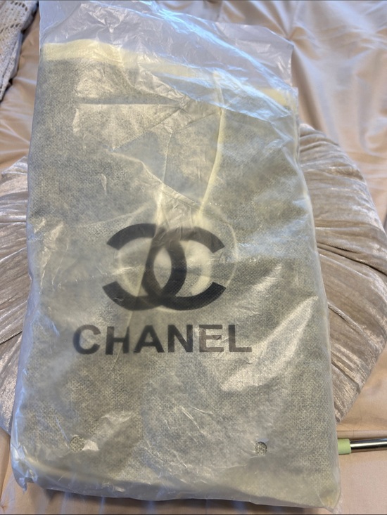 CHANEL Handbags - Chanel bag in dust cover GWP